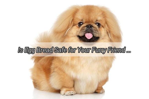 Is Egg Bread Safe for Your Furry Friend Unveiling the Truth About Canines and Egg Delights